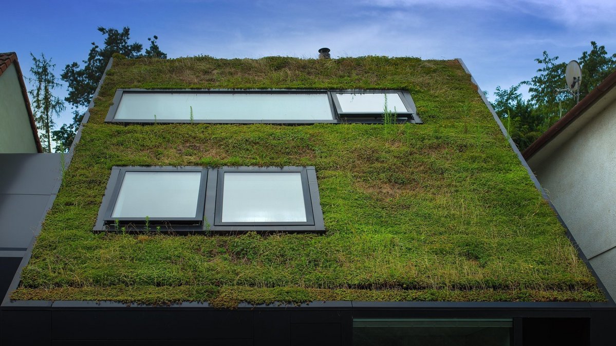 Begrüntes Dach mit Dachfenstern als Beispiel für moderne Dachbegrünung beim Hausbau