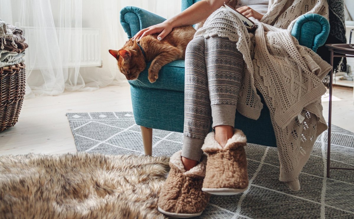Gemütliche Wohnszene mit Katze als Symbol für behagliches und energieeffizientes Wohnen